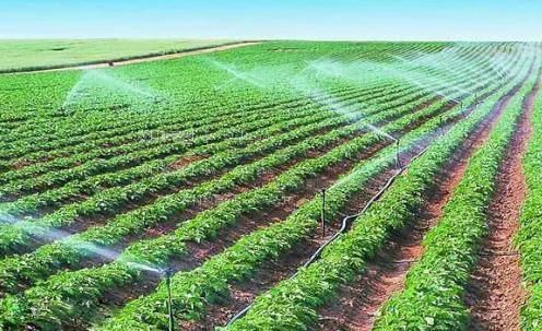 免费尻屄视频农田高 效节水灌溉